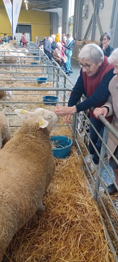 La ferme s'invite
