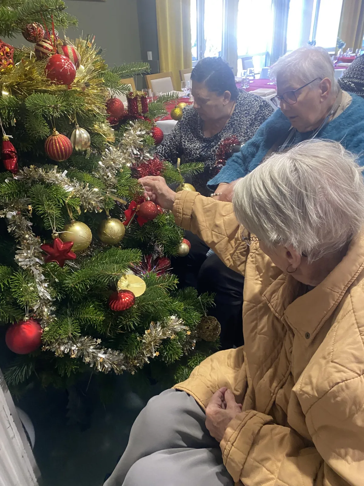 L'EHPAD la Triade plonge dans la féérie de Noel 