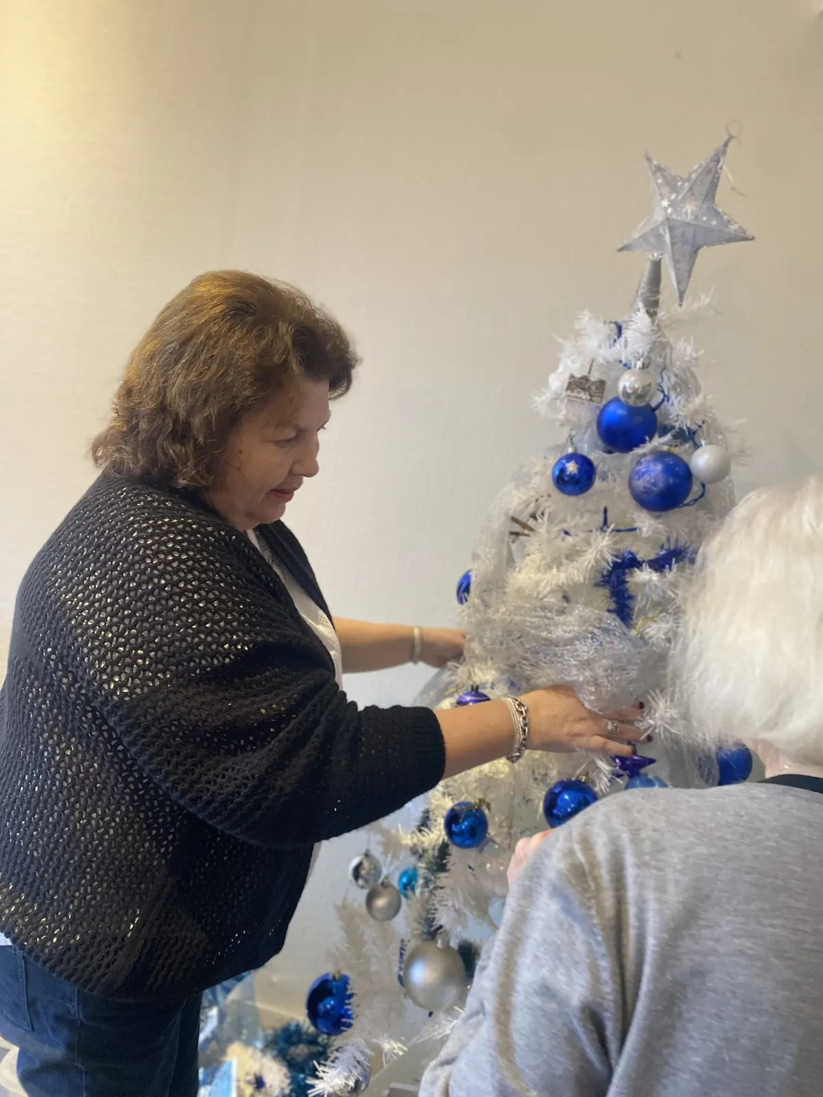 L'EHPAD la Triade plonge dans la féérie de Noel 