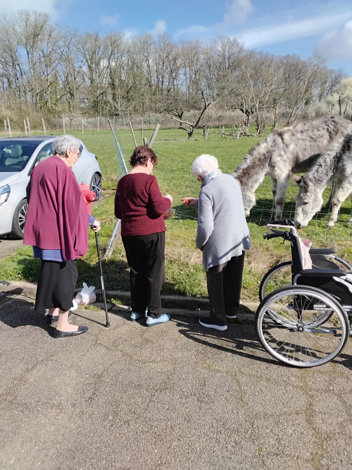 aujourd'hui atelier épluchage de carottes et visite aux animaux  