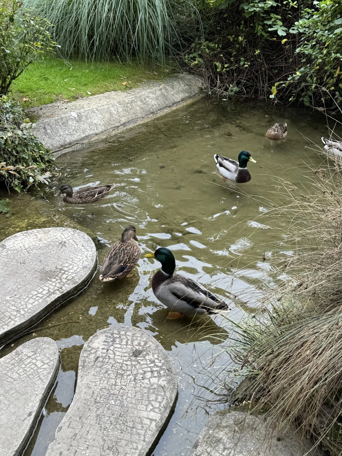 Balade au parc de l'horticulture