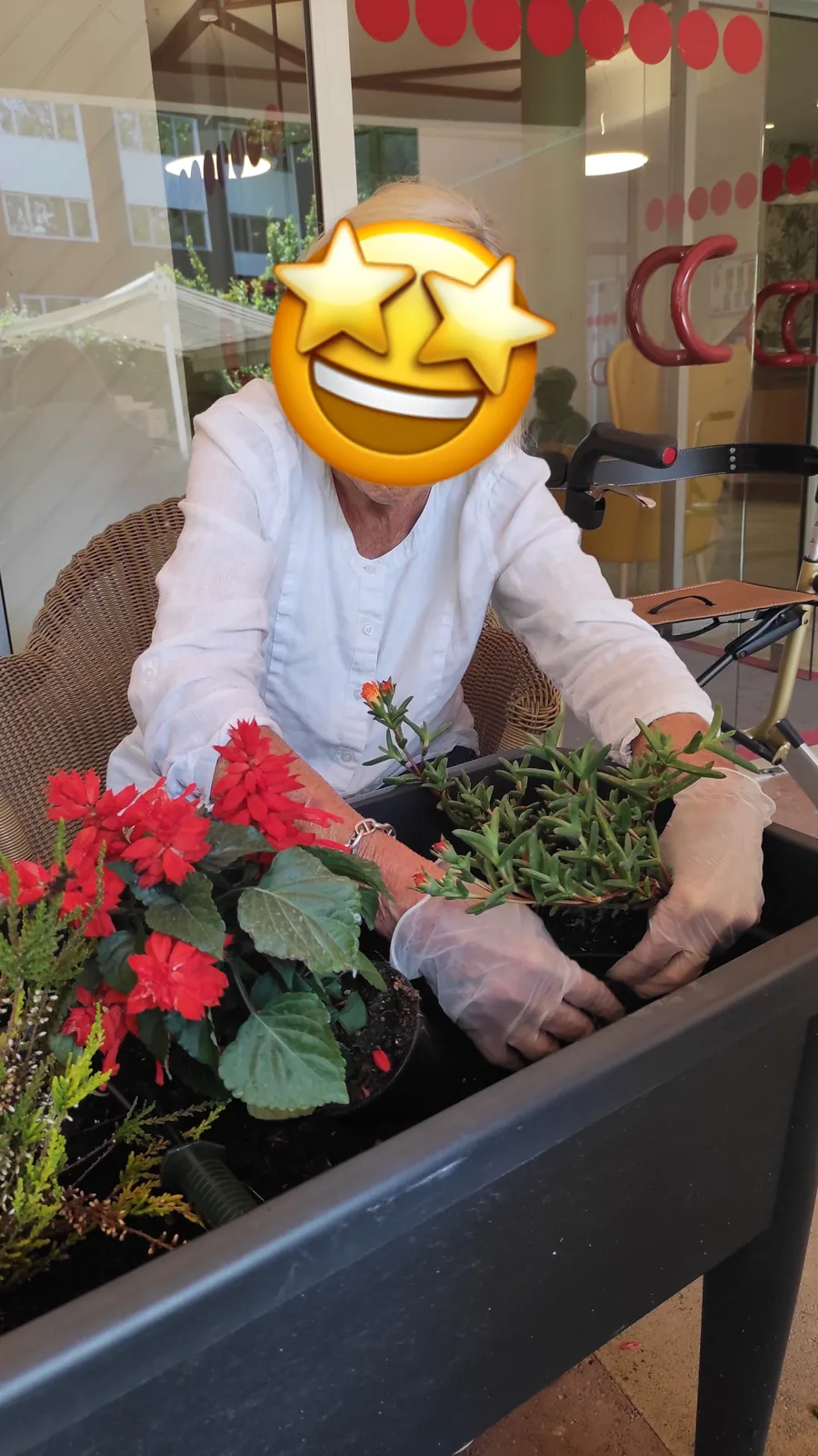 L'embellissement du jardin se poursuit 