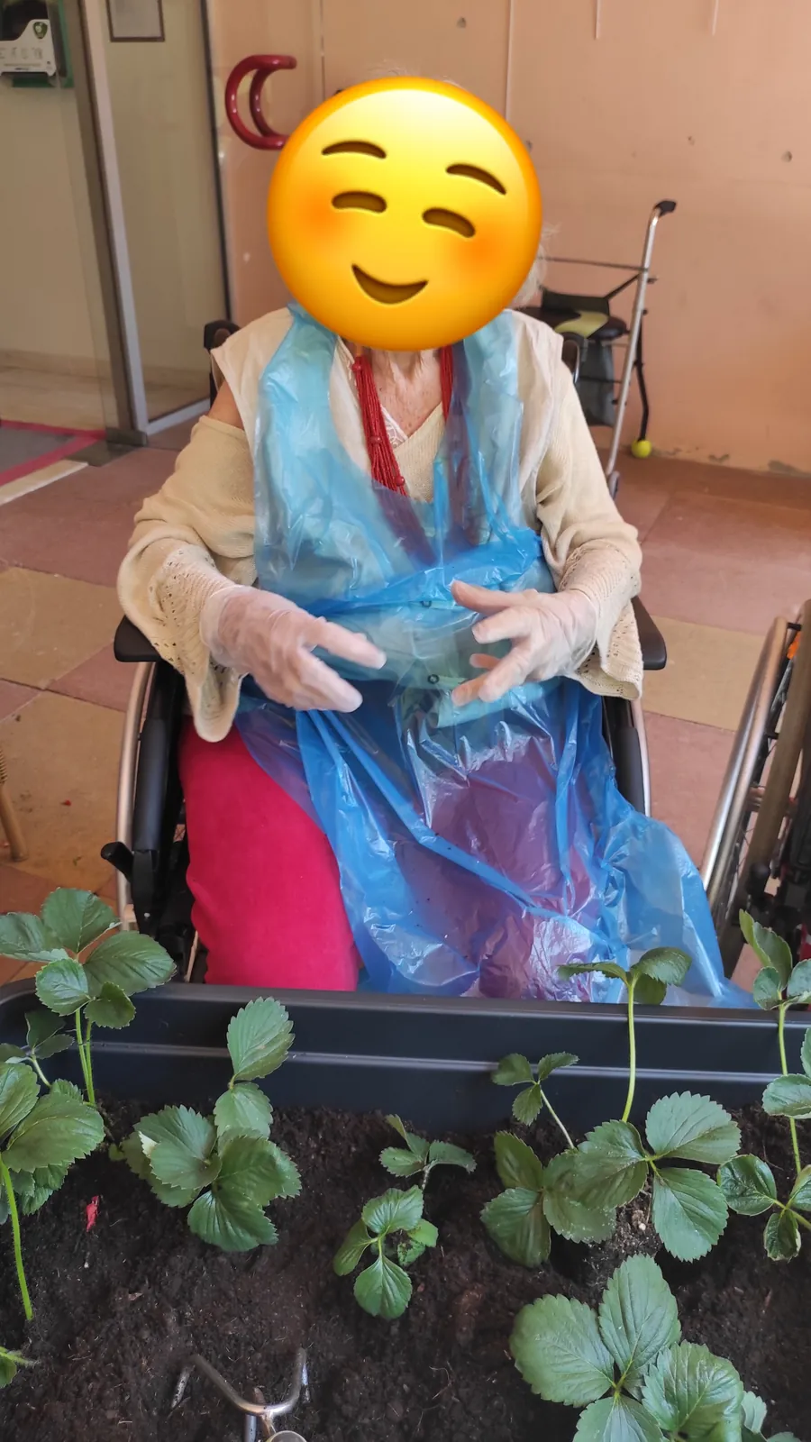 L'embellissement du jardin se poursuit 