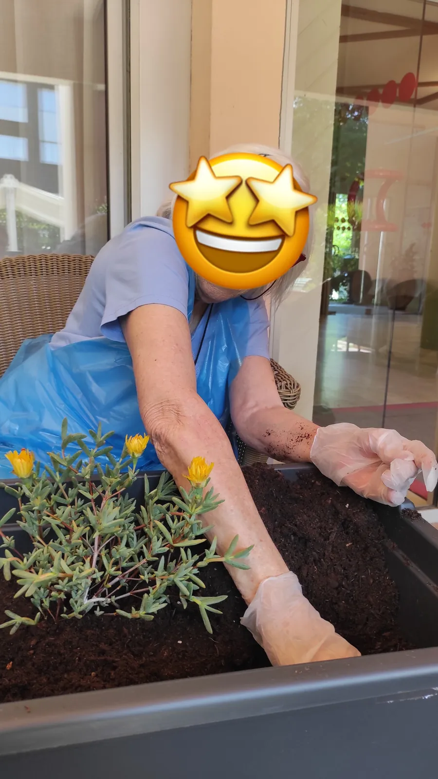 L'embellissement du jardin se poursuit 