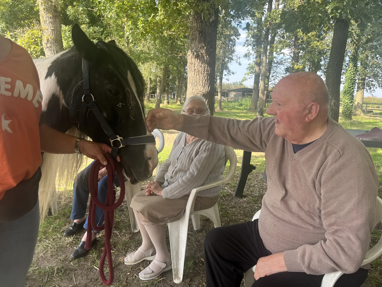 Equithérapie : Un moment de partage