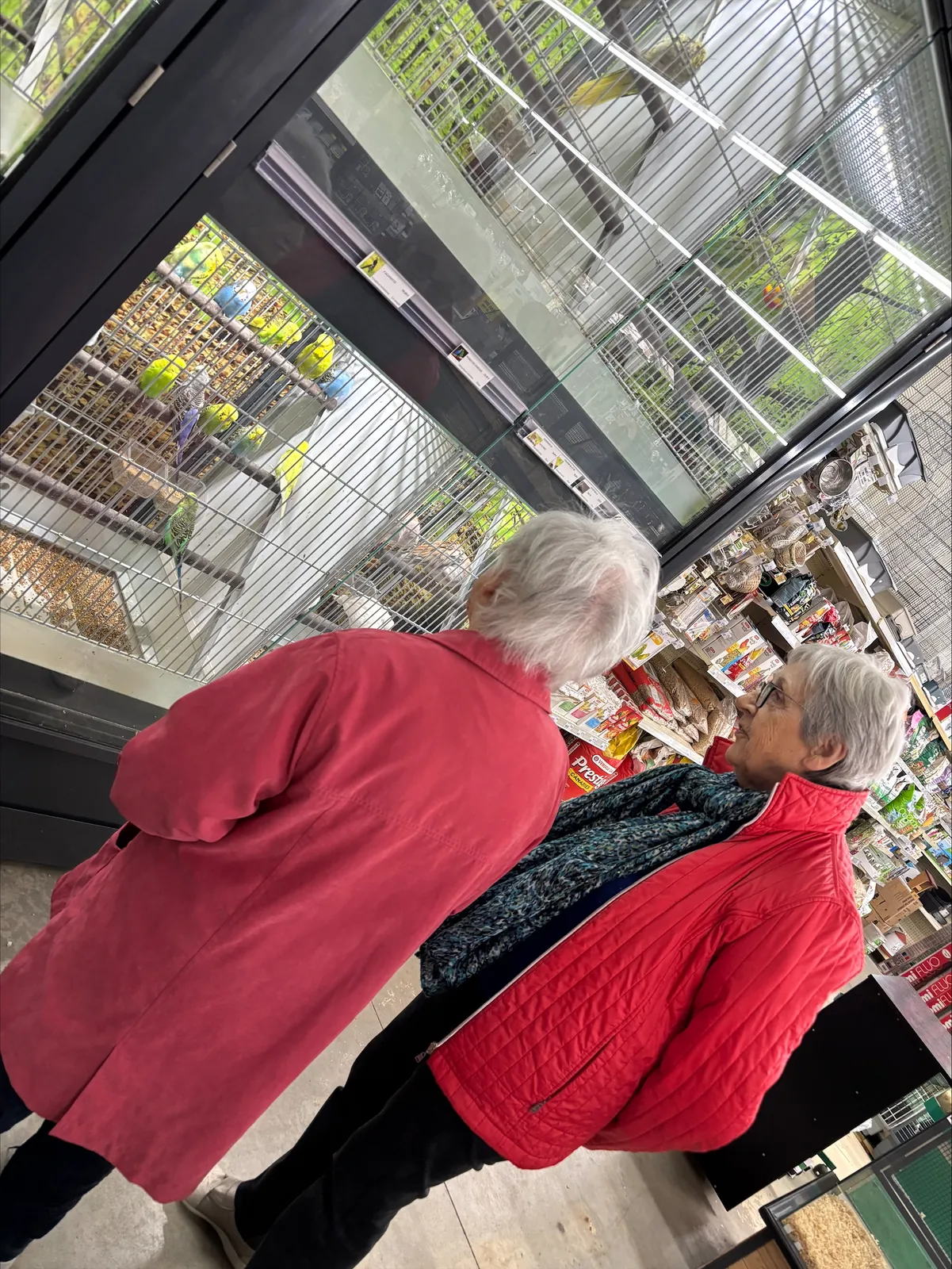 Nous souhaitons la bienvenue à nos deux nouveaux compagnons !