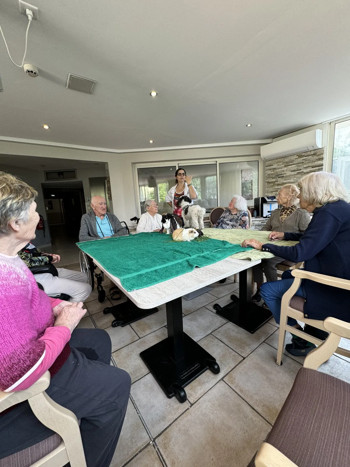Tover Tafel