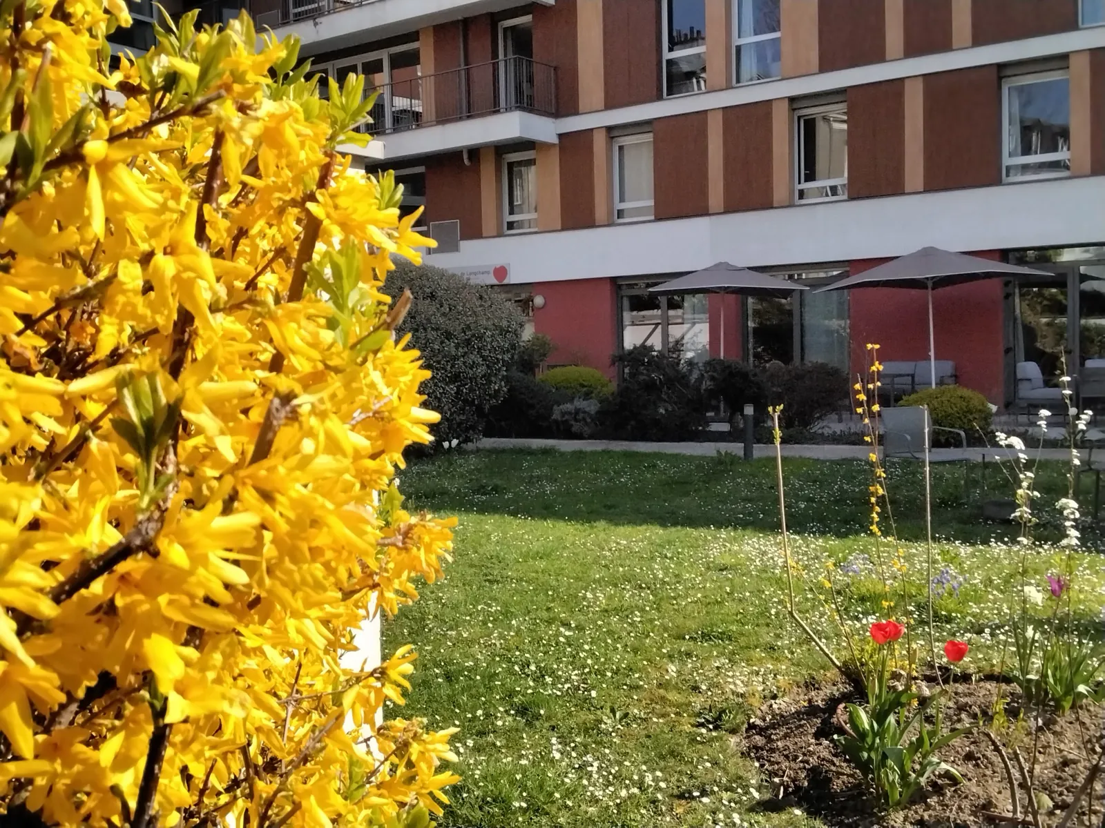 Le Printemps est bien là à Longchamp !