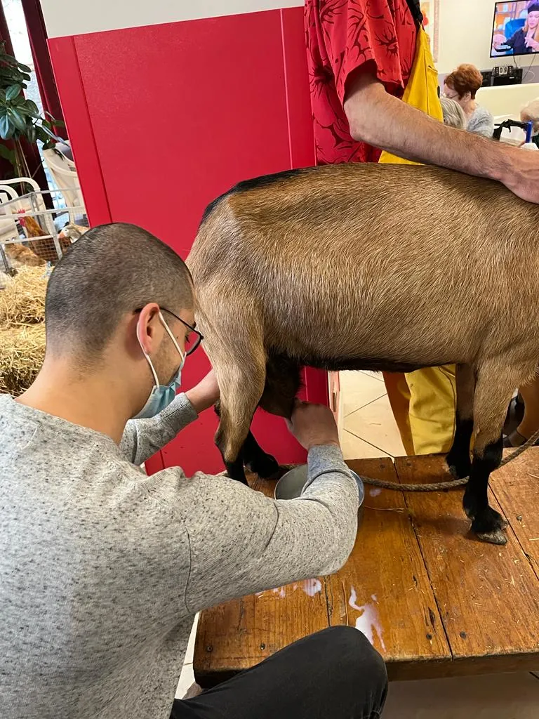 La Ferme à la Résidence 