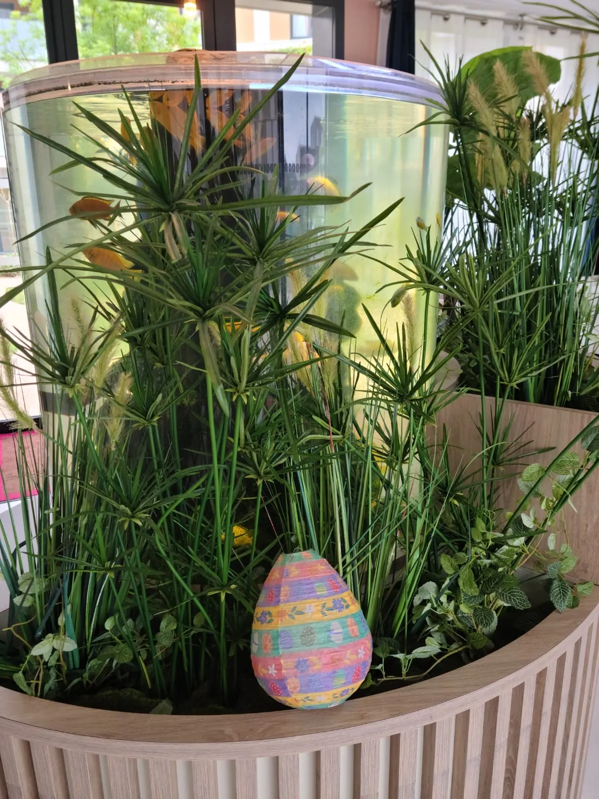 Vive le Printemps à la Résidence Saint Jean - Agen 