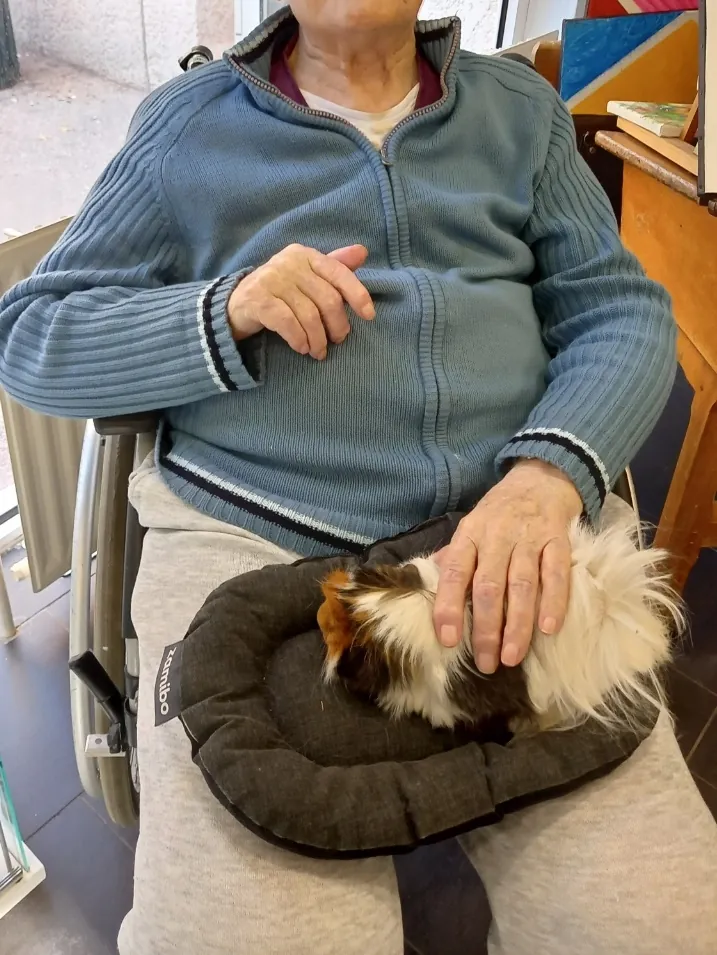 LES ANIMAUX EN VISITE !