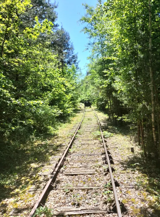 Sortie Vélo-Rail 