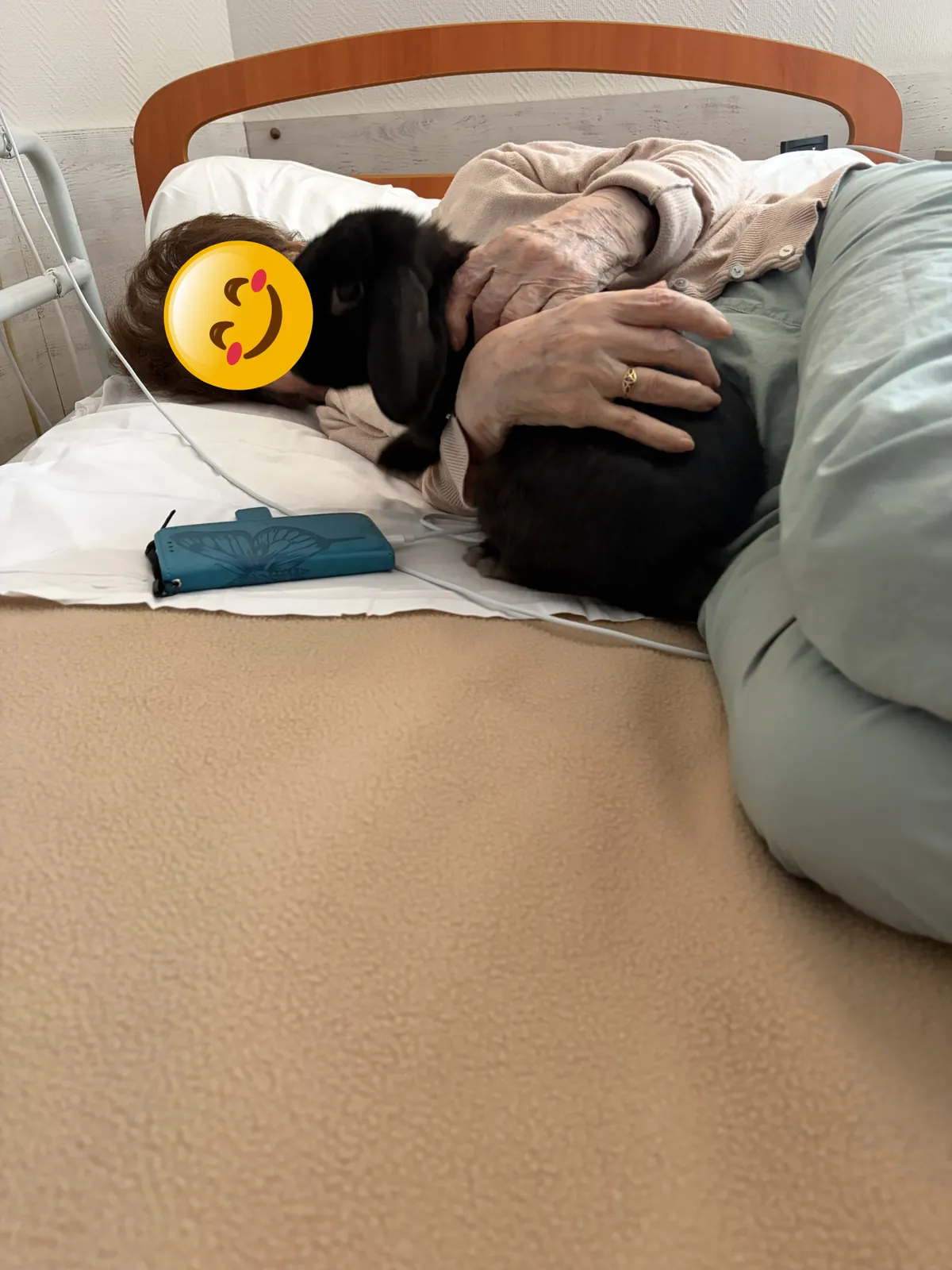 Douceur à domicile : un temps attendu et apaisant en EHPAD