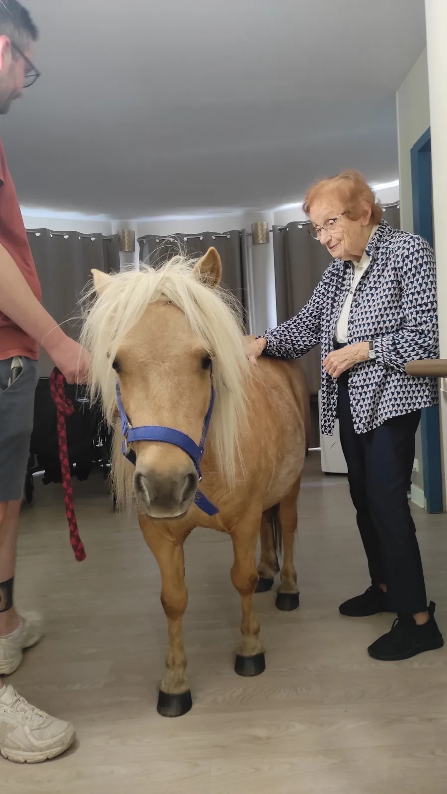 Une belle après-midi de médiation animale avec Marina