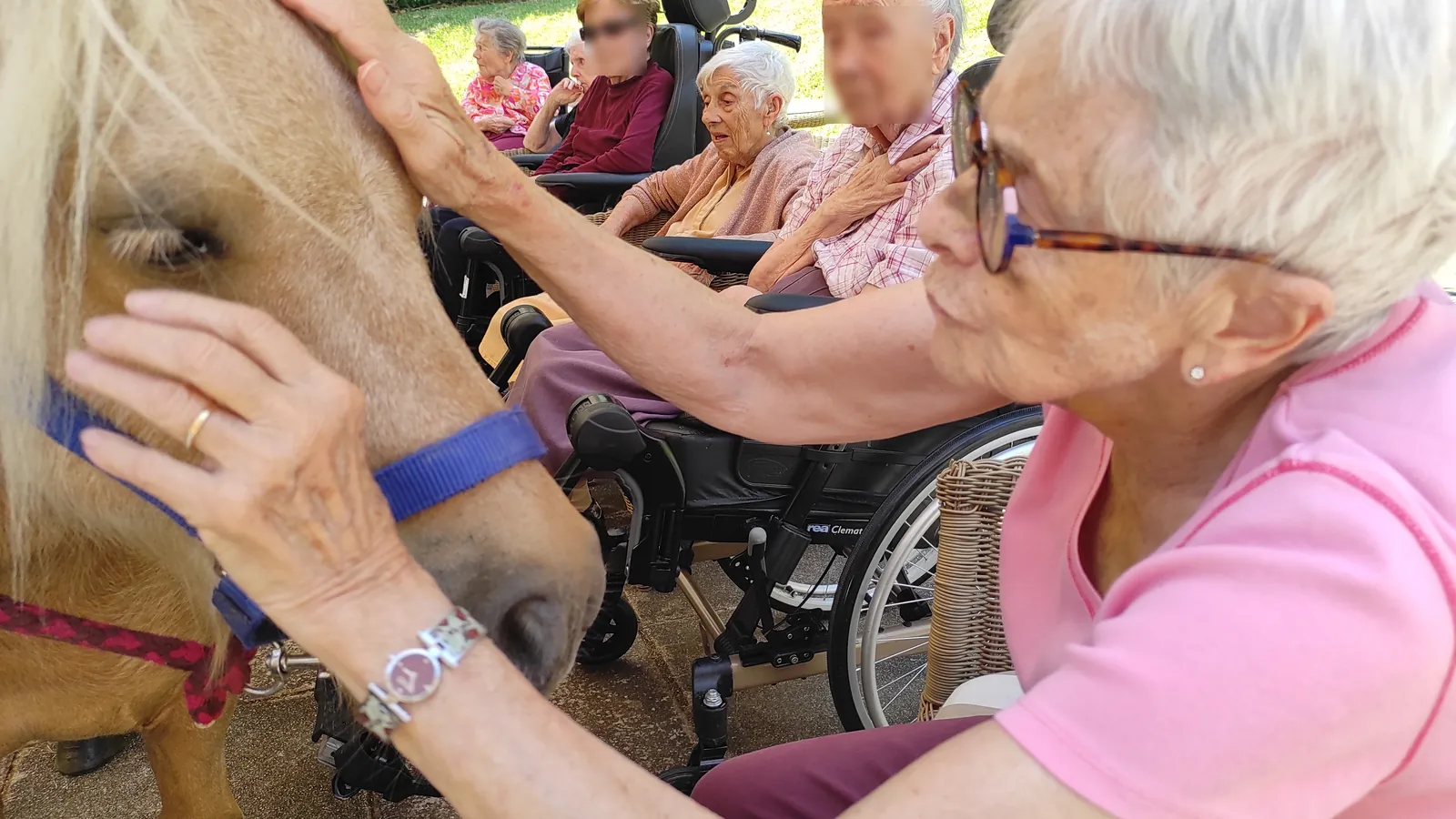 Une belle après-midi de médiation animale avec Marina