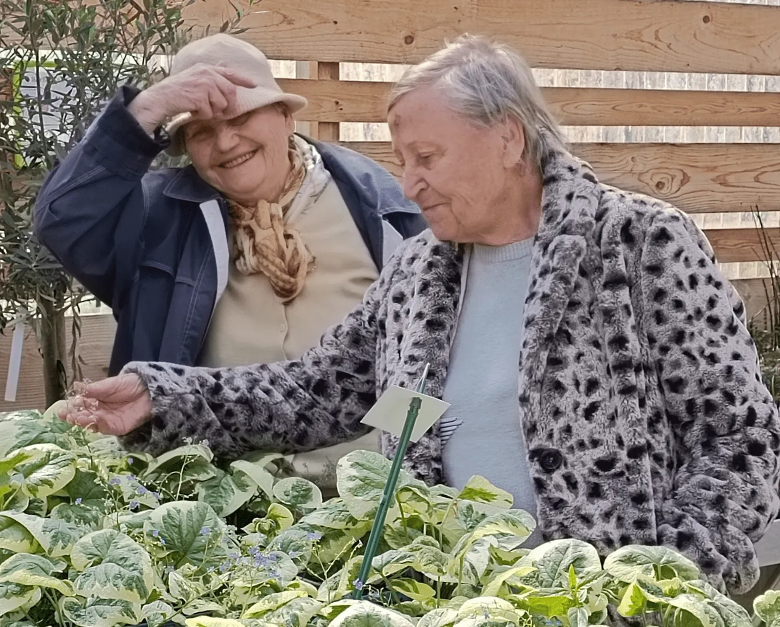 Tous au jardin !