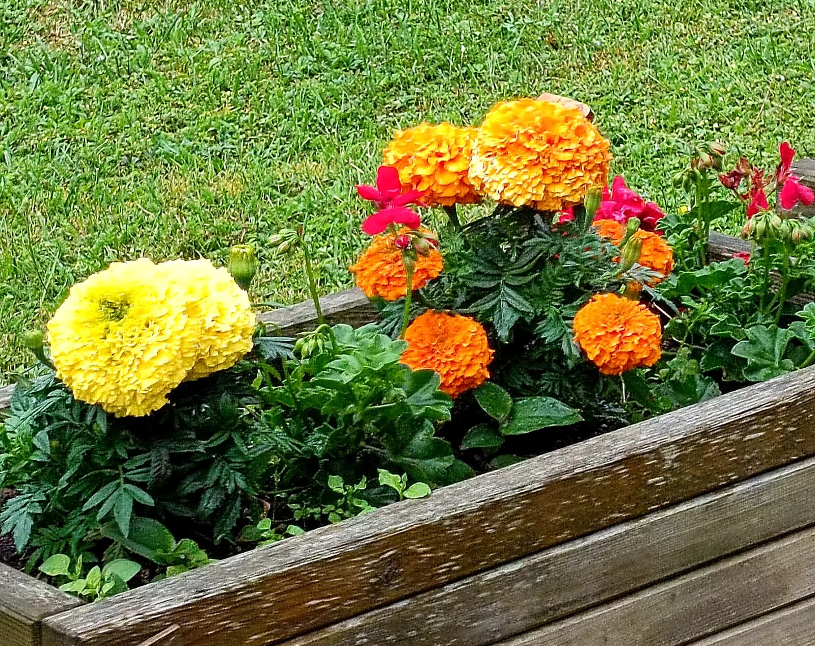 Tous au jardin !