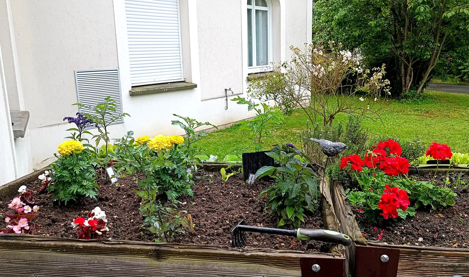 Tous au jardin !
