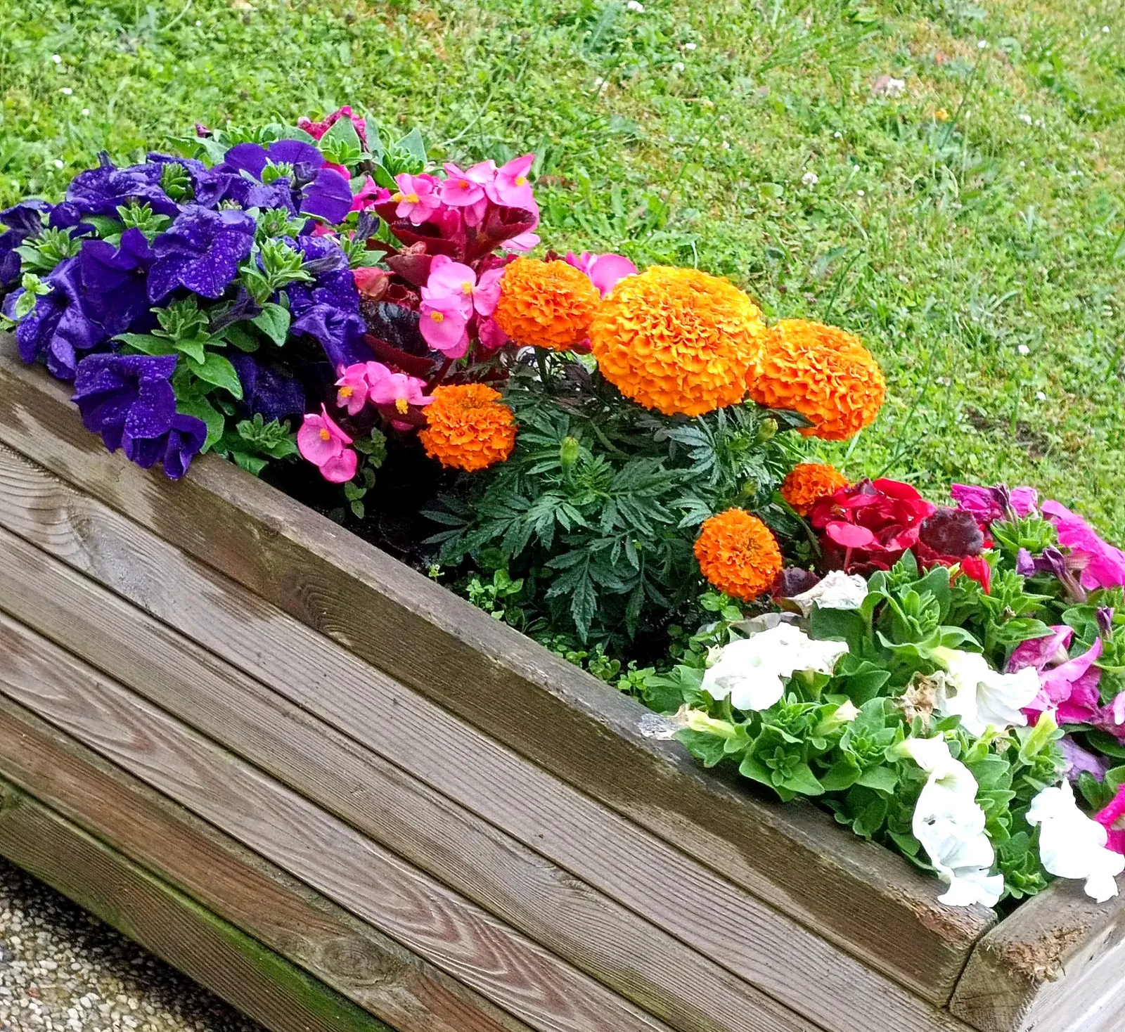 Tous au jardin !