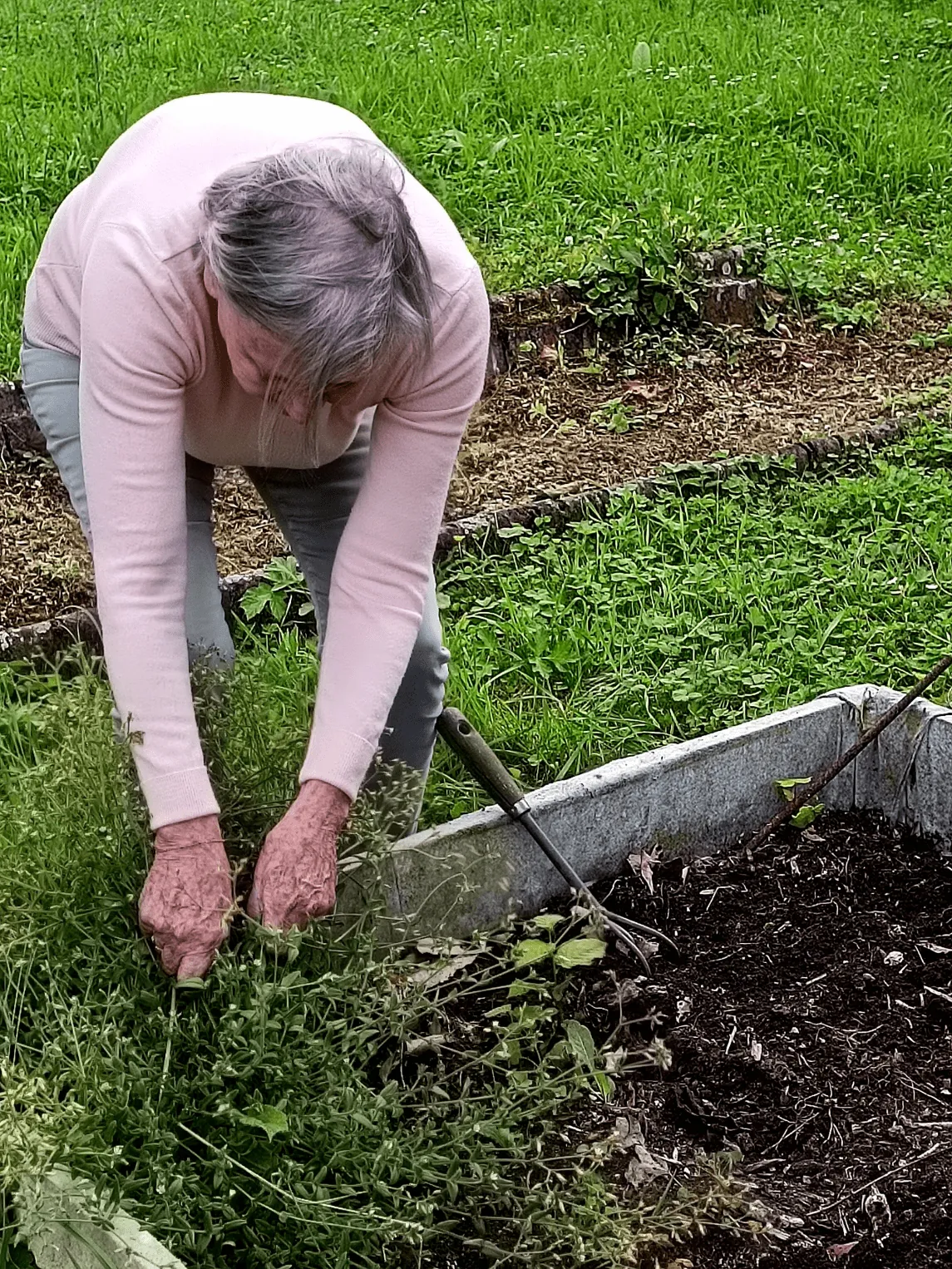Tous au jardin !