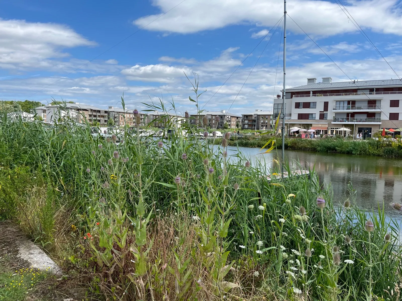 Sur le port de l'Isle-Adam