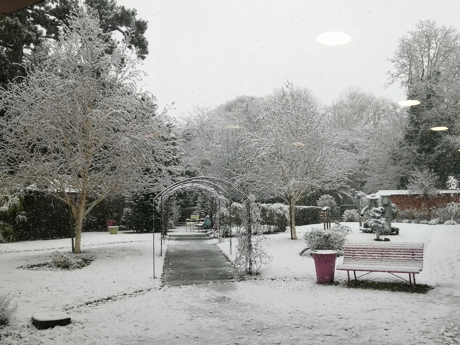 Notre jardin sous la neige !