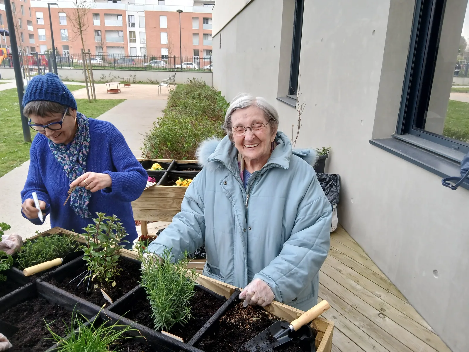 Notre jardin 