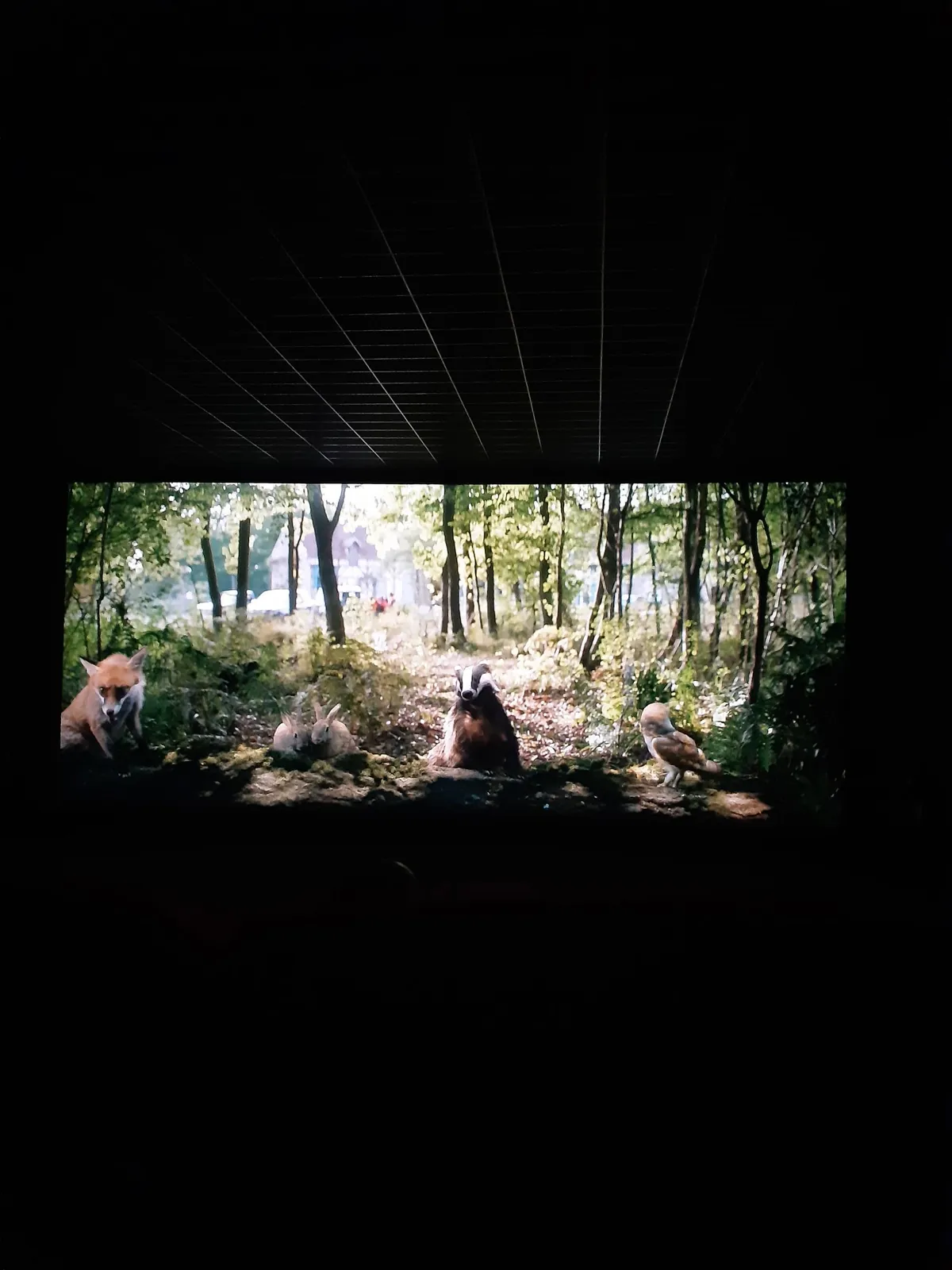 Sortie cinéma ce jeudi
