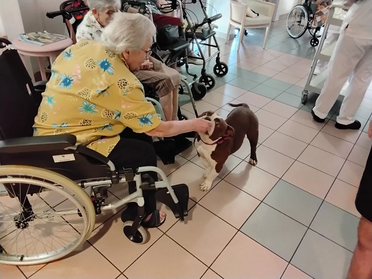 Tao, de la tendresse à quatre pattes ! 