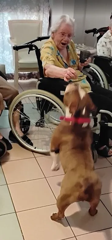 Tao, de la tendresse à quatre pattes ! 