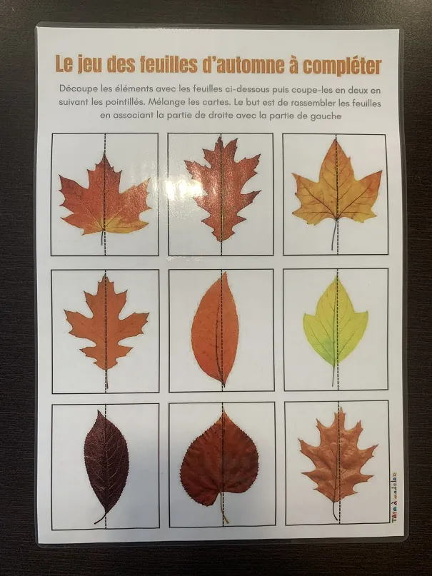 Les feuilles d'automne...