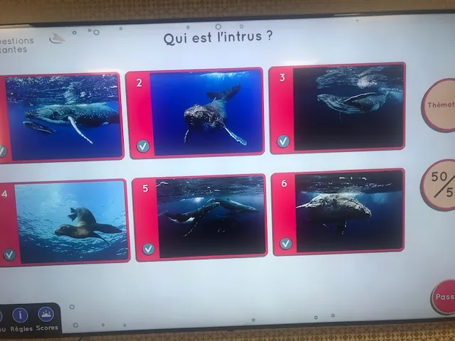 L' Océanie 