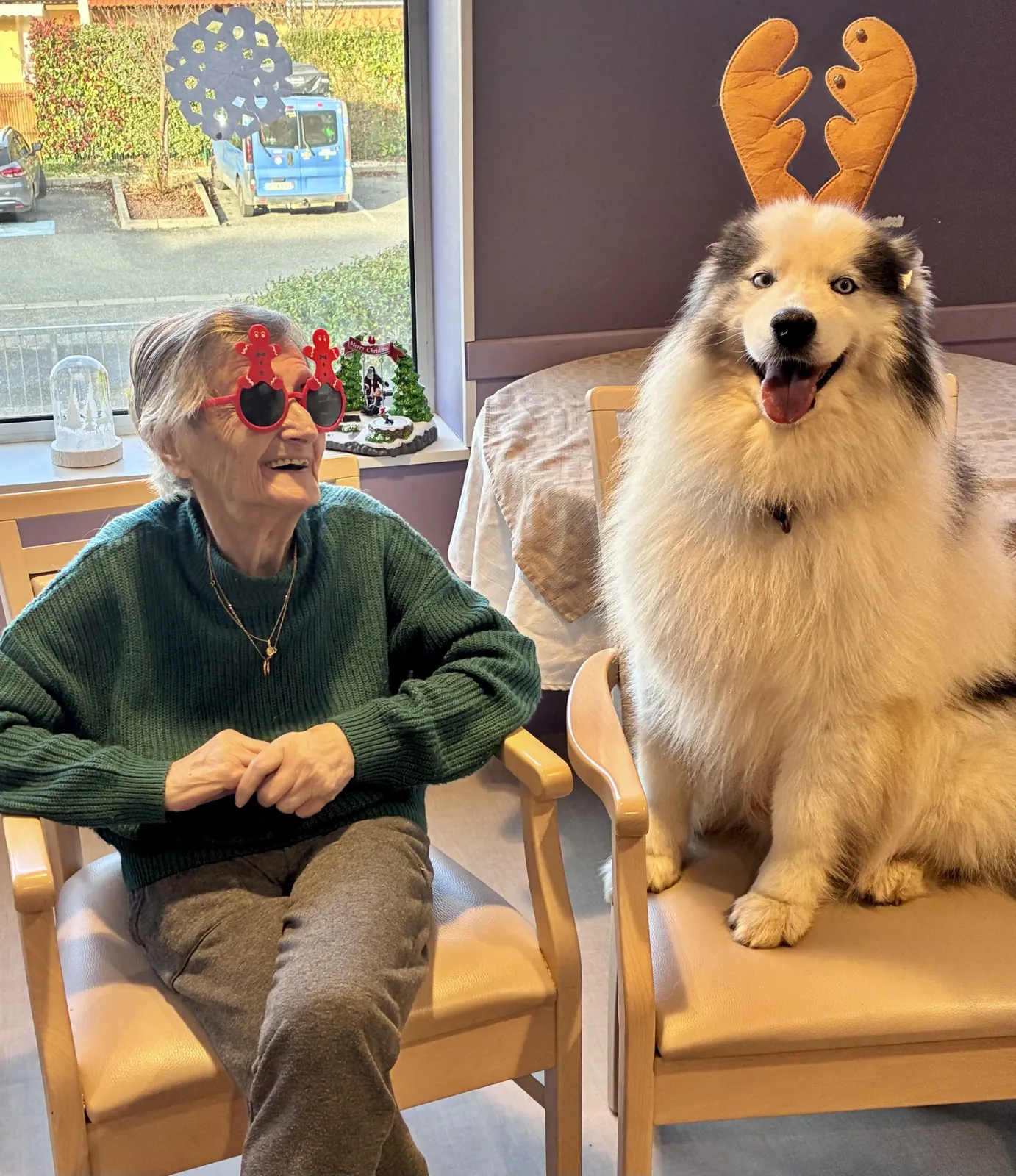 Une belle rencontre de fin d’année grâce à la médiation animale