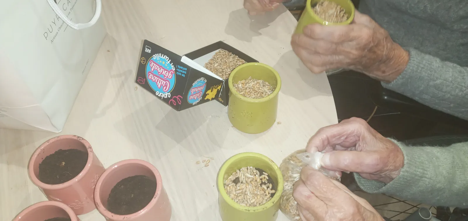 atelier plantation du blé 