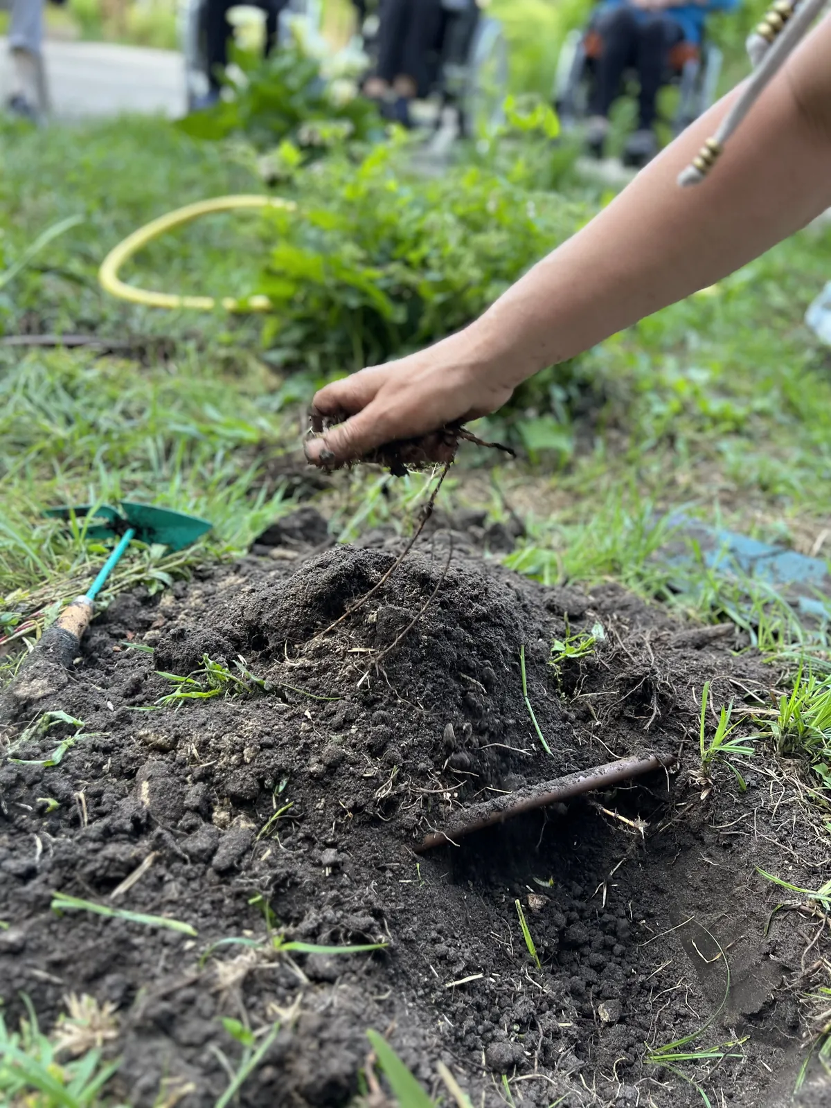 Le jardin : un rendez-vous hebdomadaire qui fait germer bien plus que des plantes
