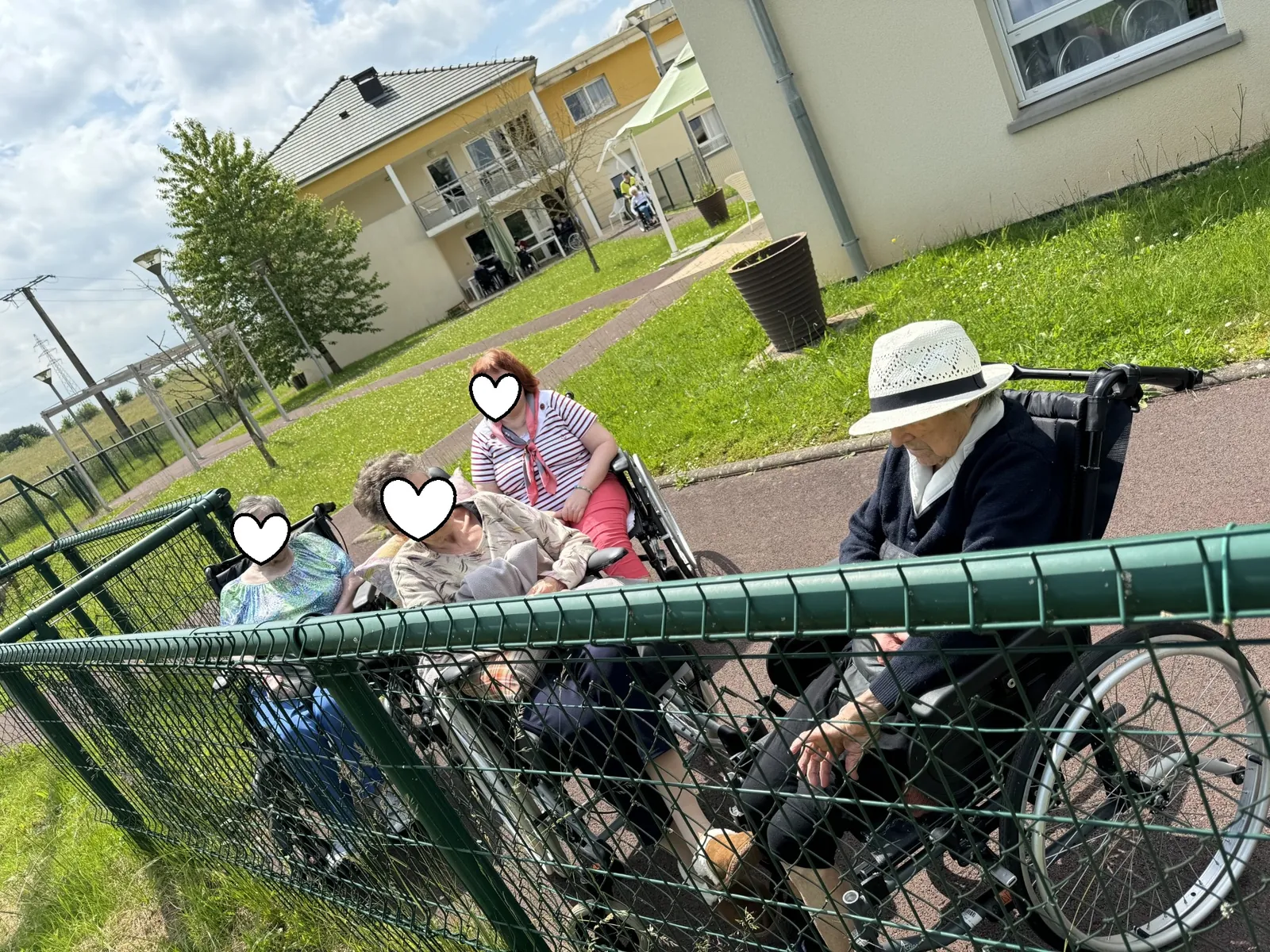 Arrivée des moutons !