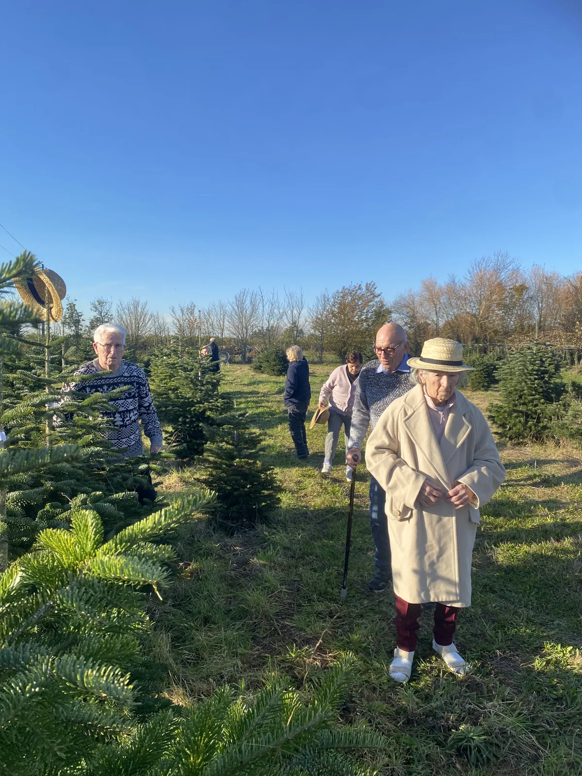 le sapin de noël 