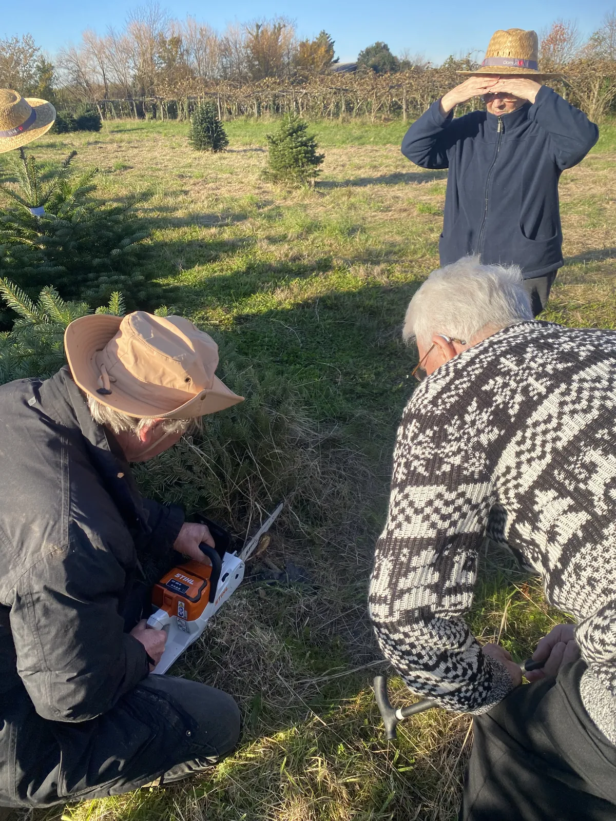 le sapin de noël 