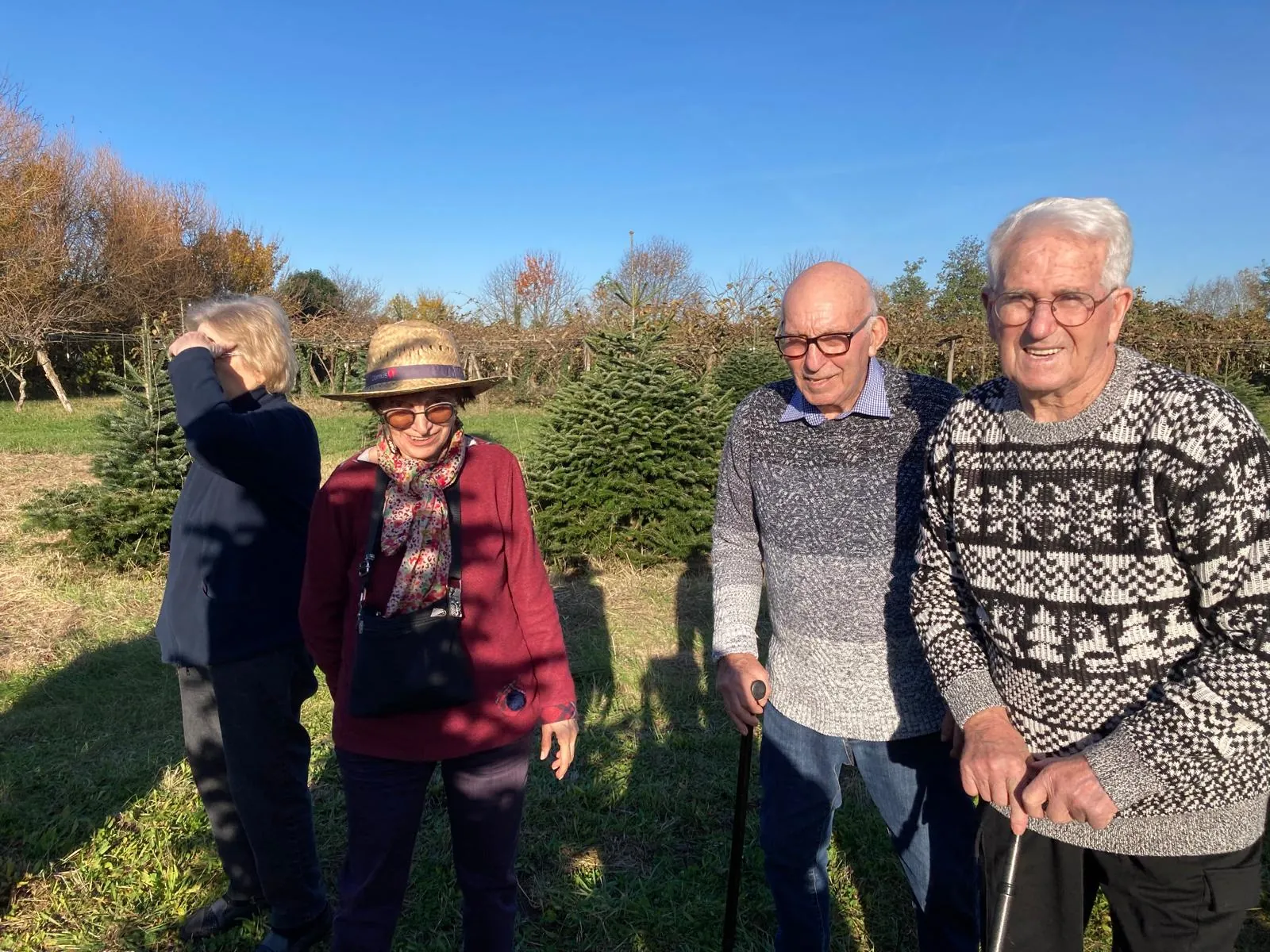le sapin de noël 