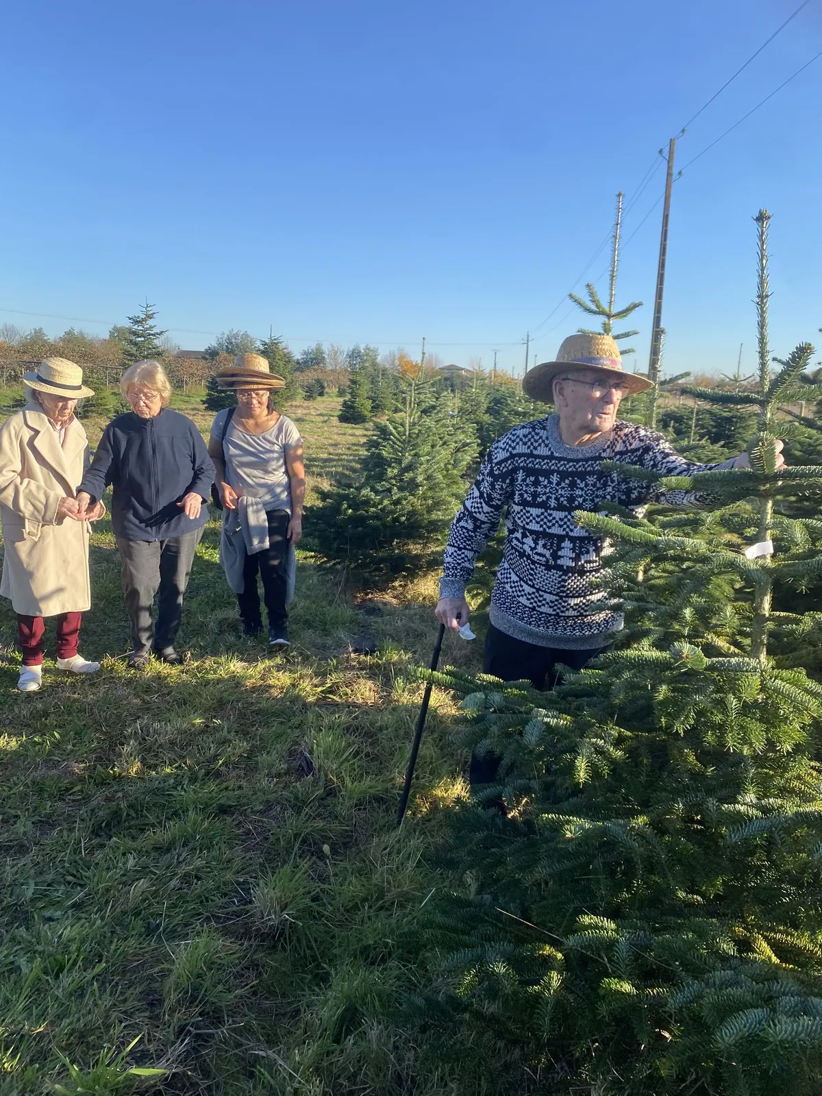 le sapin de noël 