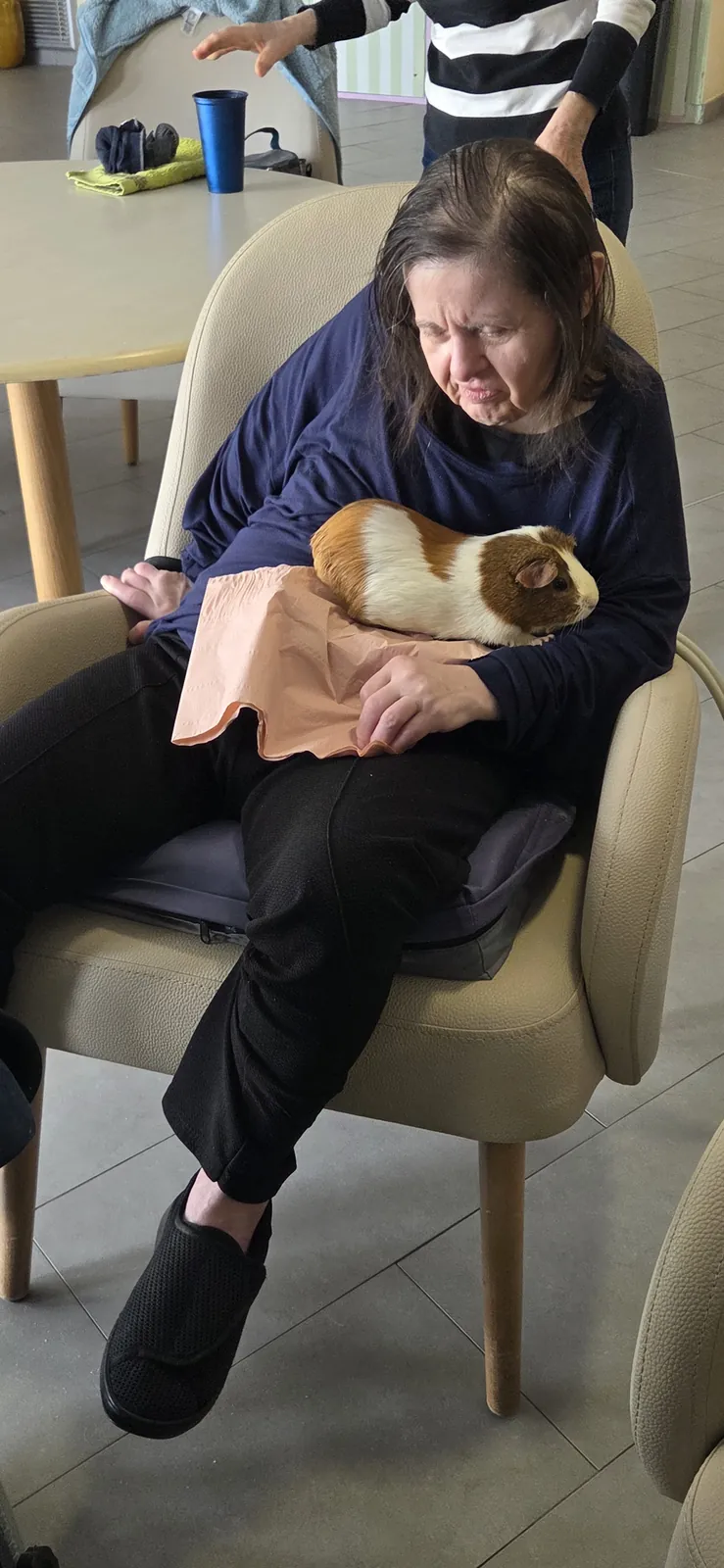 La médiation animale 