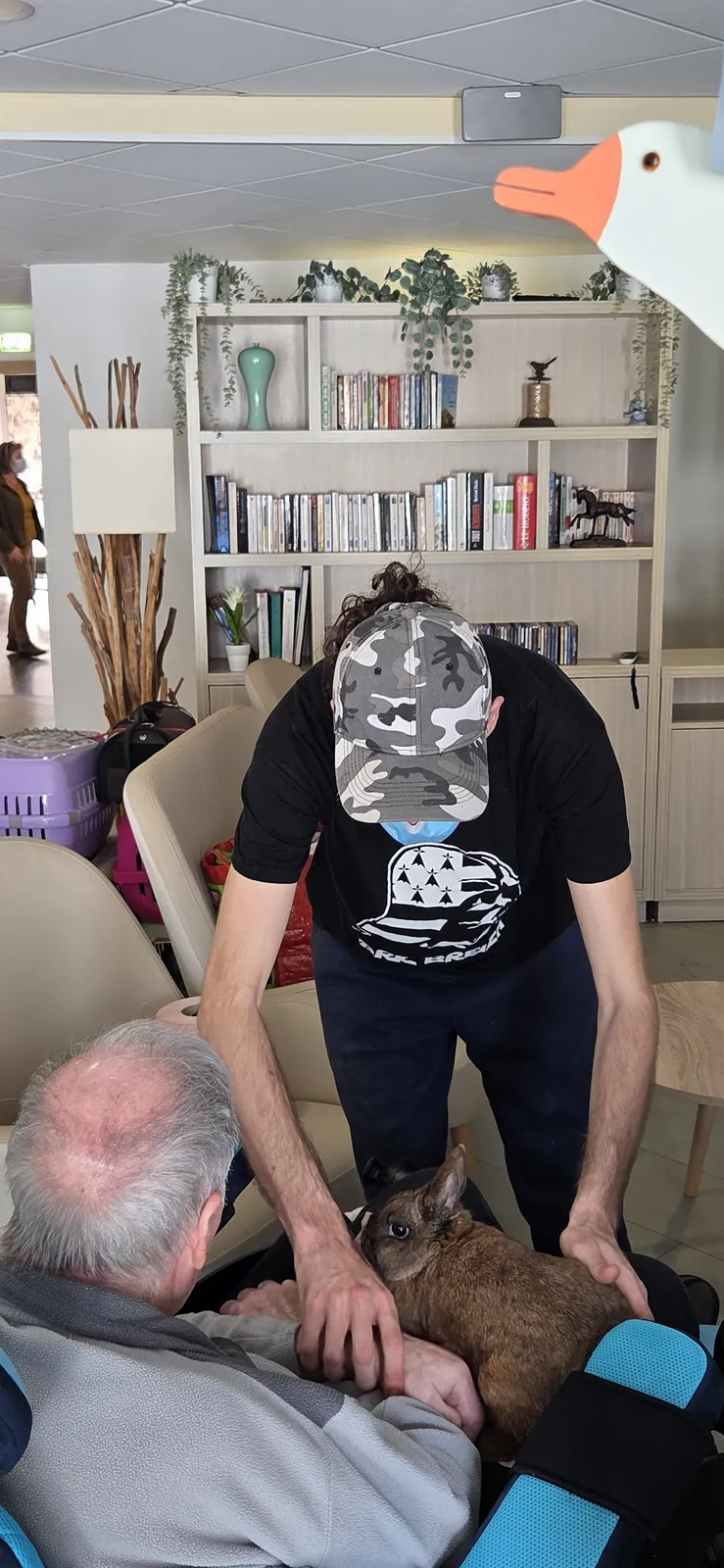 La médiation animale 