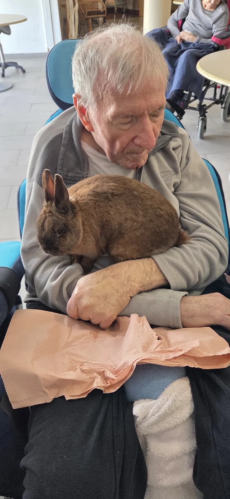 La médiation animale 