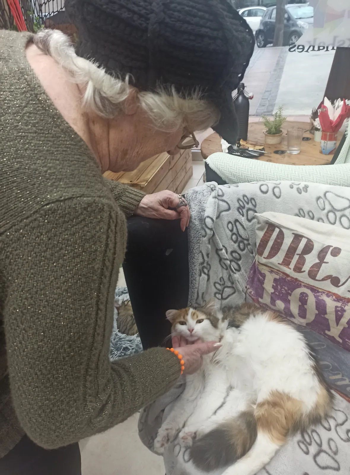 Le Bar à Chat ? Rrrrrrrrrrr C'est parti pour une Séance de "Ronronthérapie" !