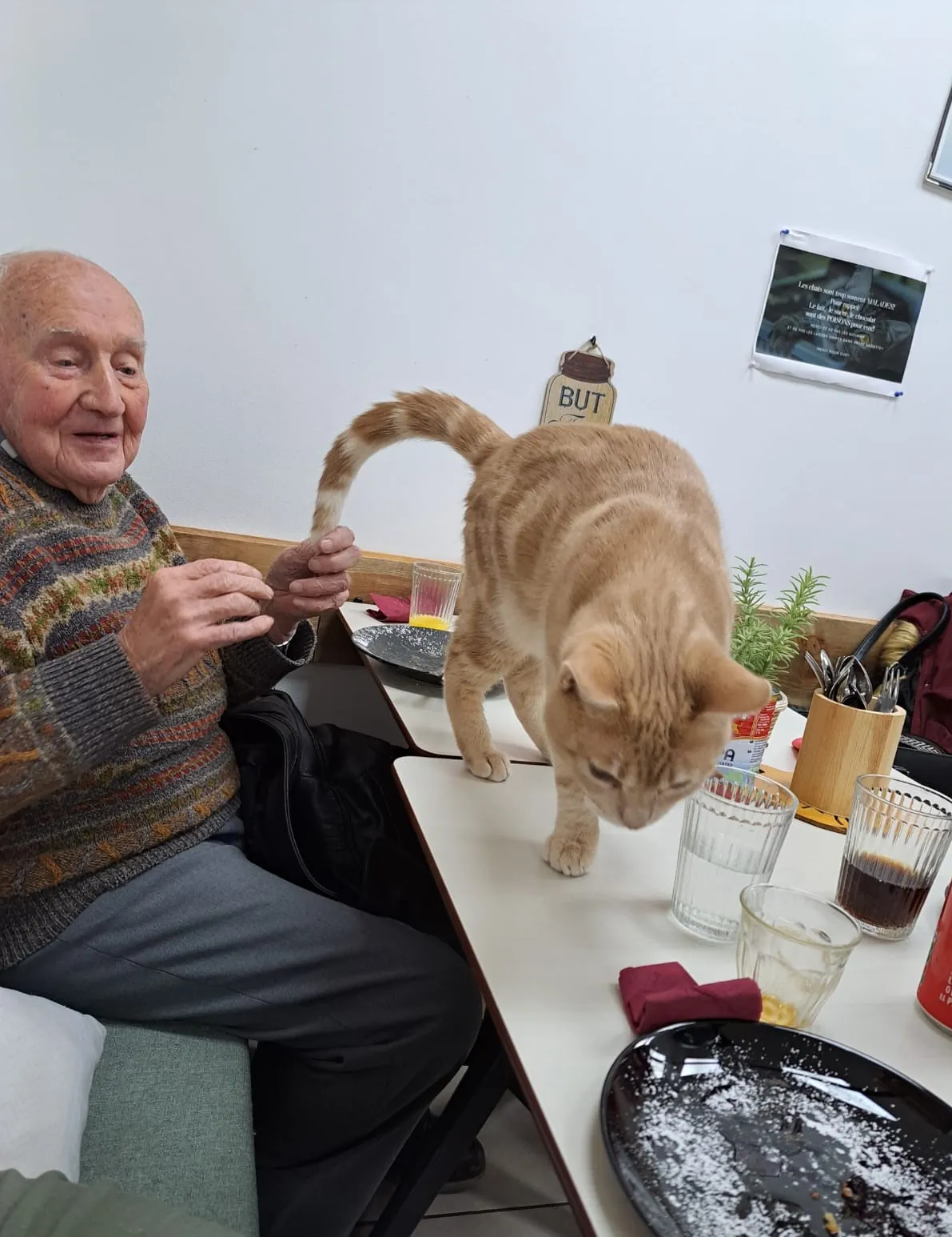 Le Bar à Chat ? Rrrrrrrrrrr C'est parti pour une Séance de "Ronronthérapie" !