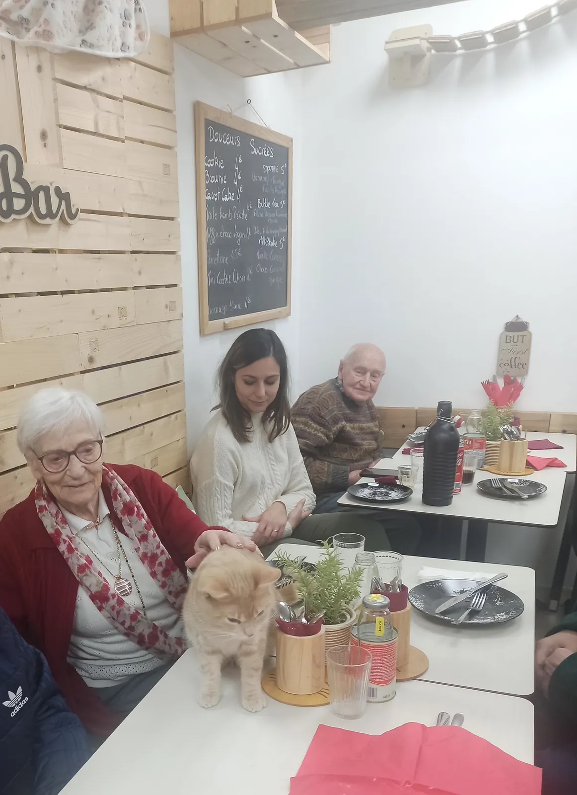 Le Bar à Chat ? Rrrrrrrrrrr C'est parti pour une Séance de "Ronronthérapie" !