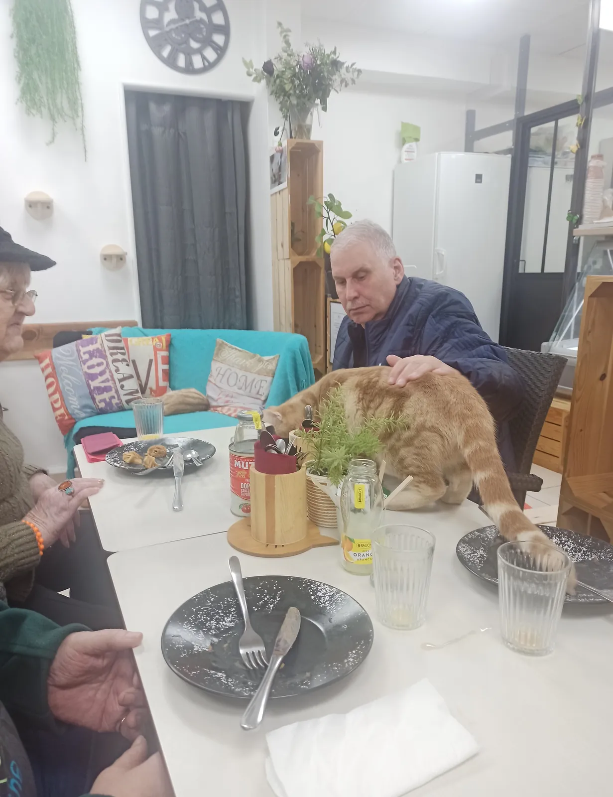 Le Bar à Chat ? Rrrrrrrrrrr C'est parti pour une Séance de "Ronronthérapie" !