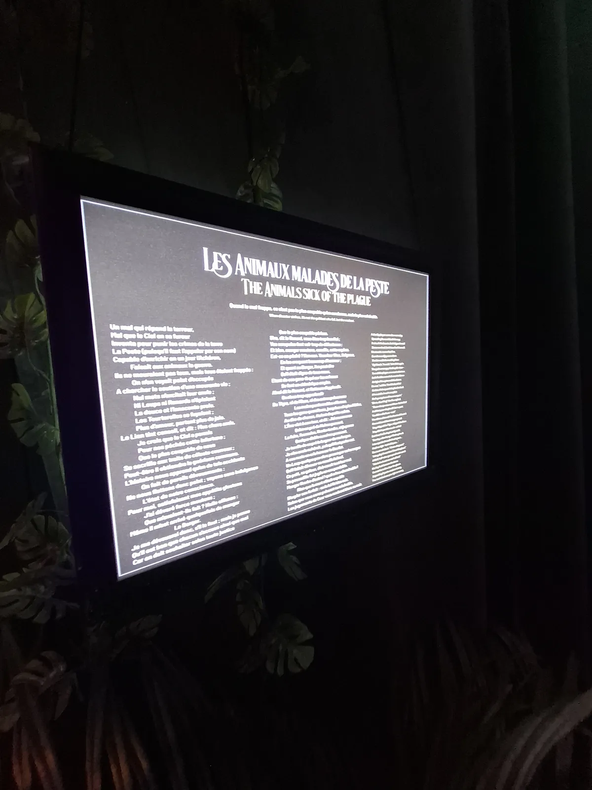 Sortie à la Cité Immersive – Les Fables de La Fontaine