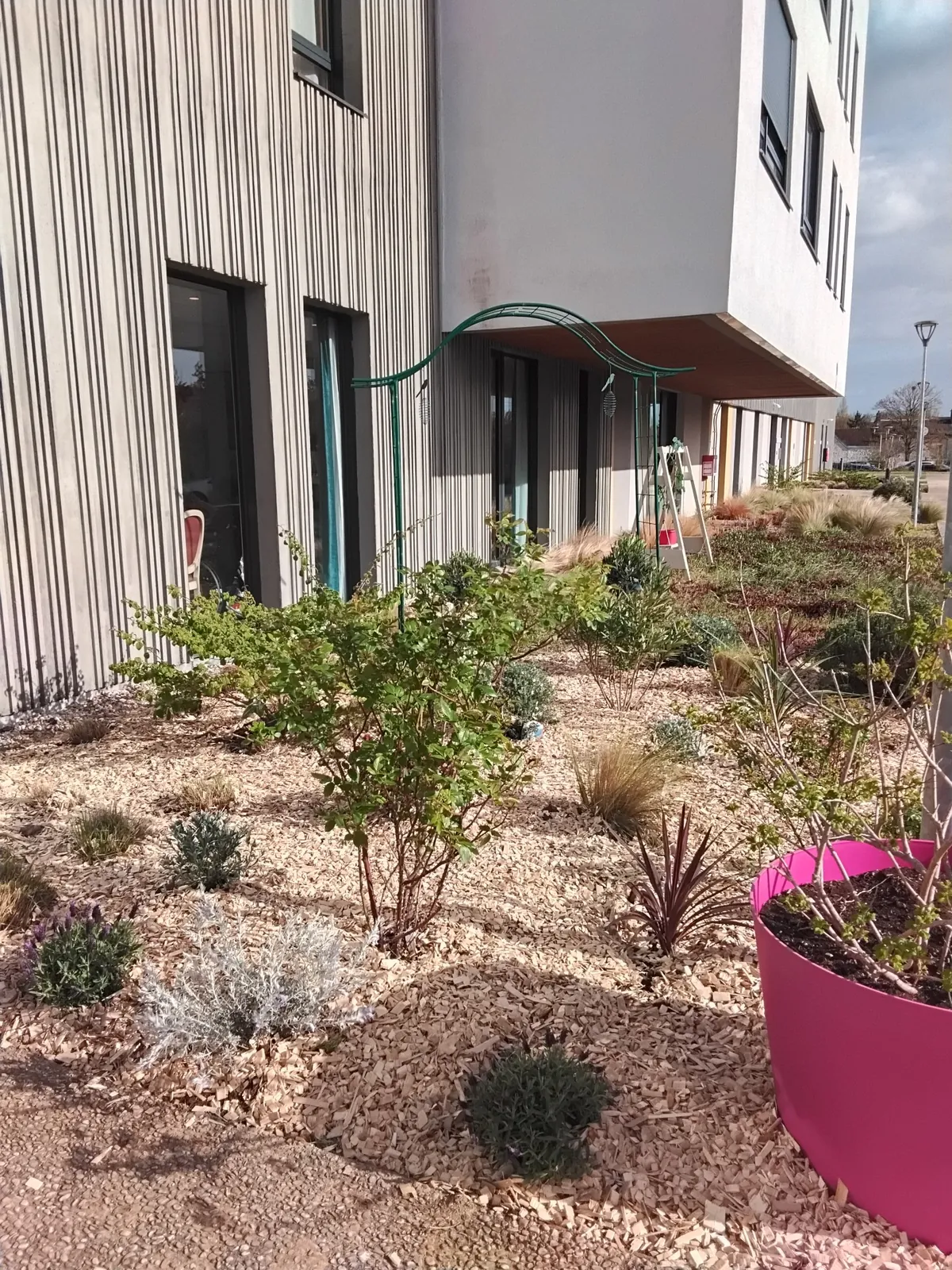 Le jardin se pare des couleurs du printemps!