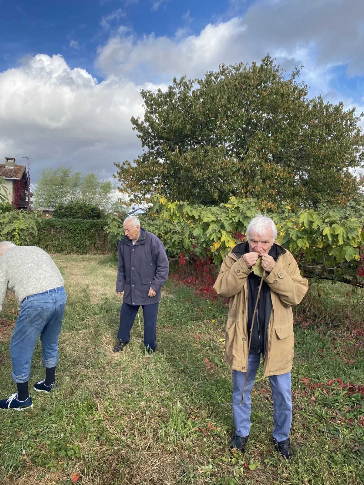 Sortie au verger 